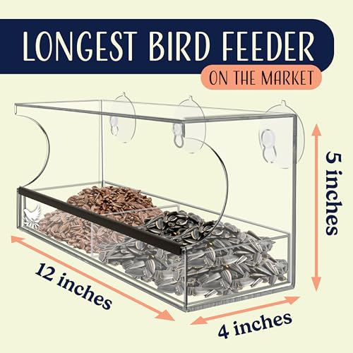 Window Bird Feeder Easy to Use to Attract Birds with Strong Suction Cups