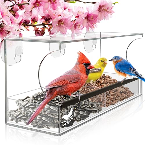 Window Bird Feeder Easy to Use to Attract Birds with Strong Suction Cups