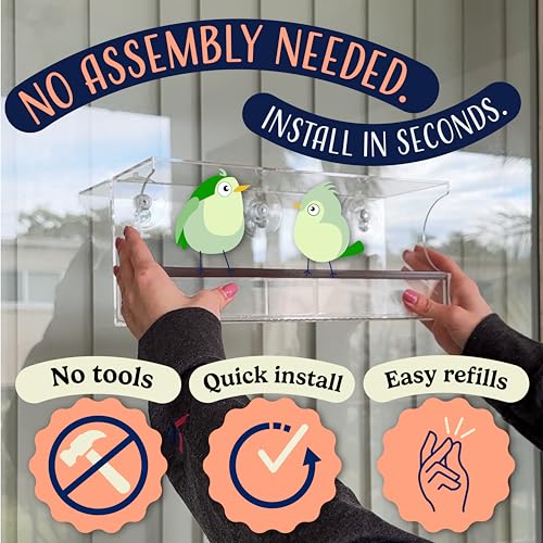 Window Bird Feeder Easy to Use to Attract Birds with Strong Suction Cups