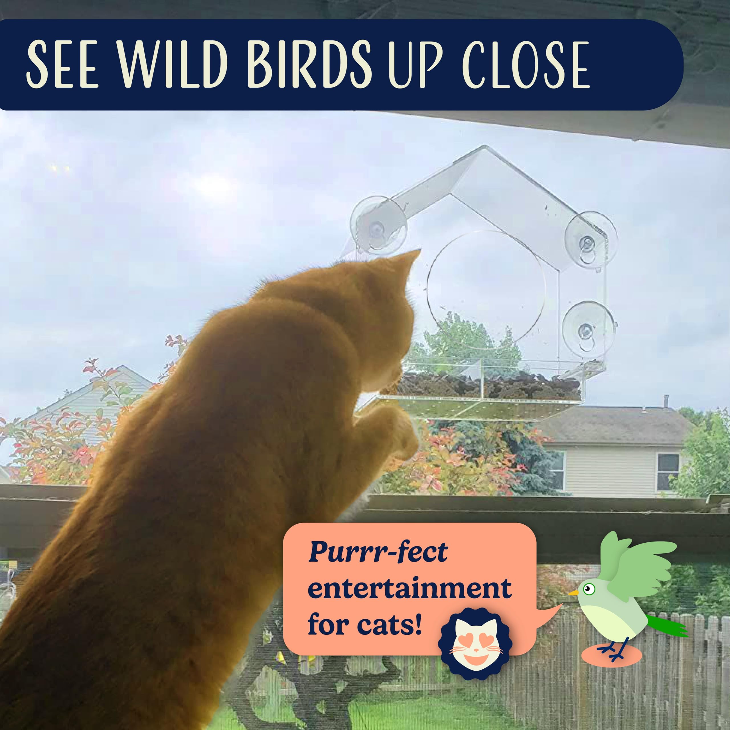 Window Bird Feeder Easy to Use to Attract Birds with Strong Suction Cups