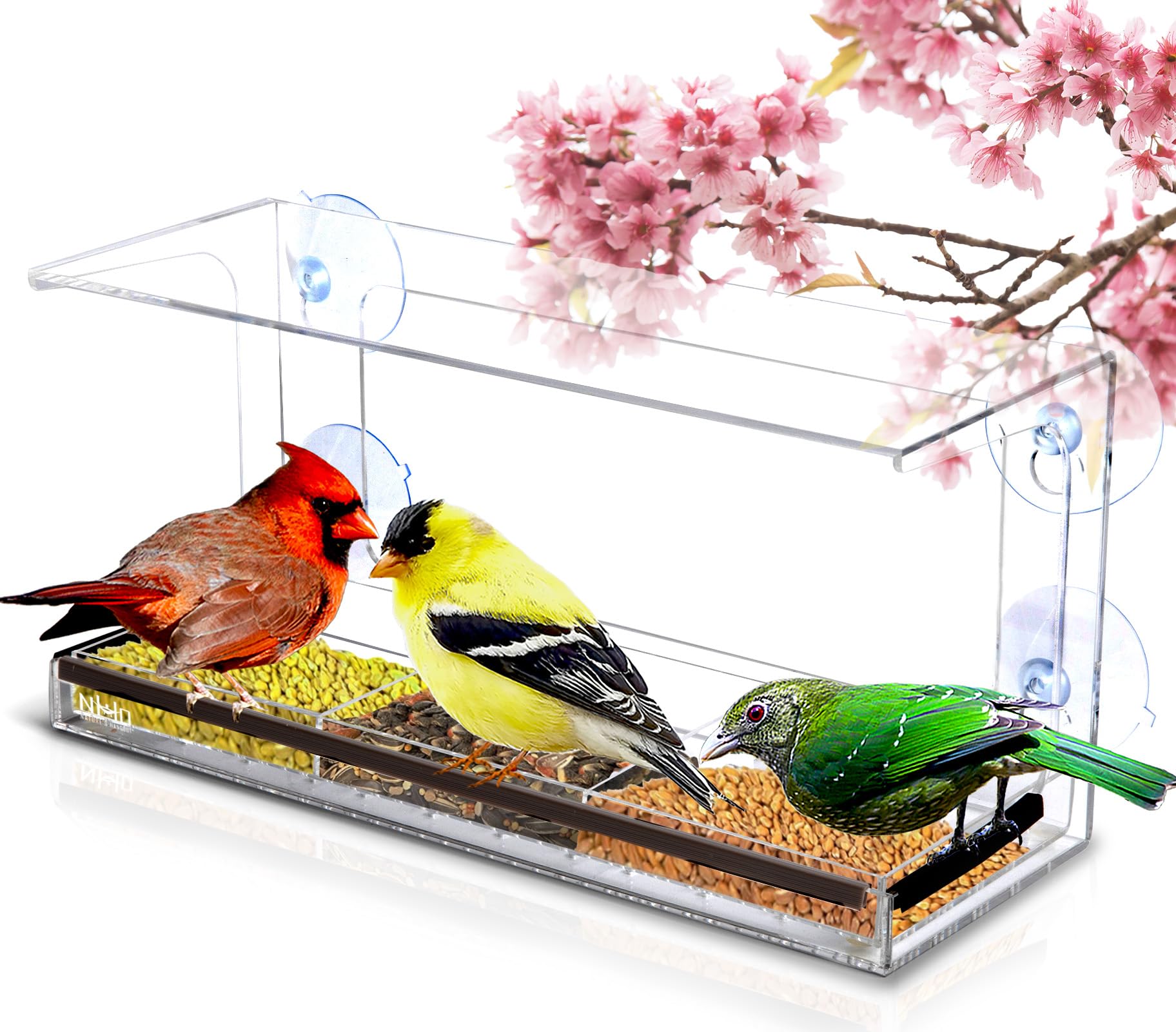 Window Bird Feeder Easy to Use to Attract Birds with Strong Suction Cups