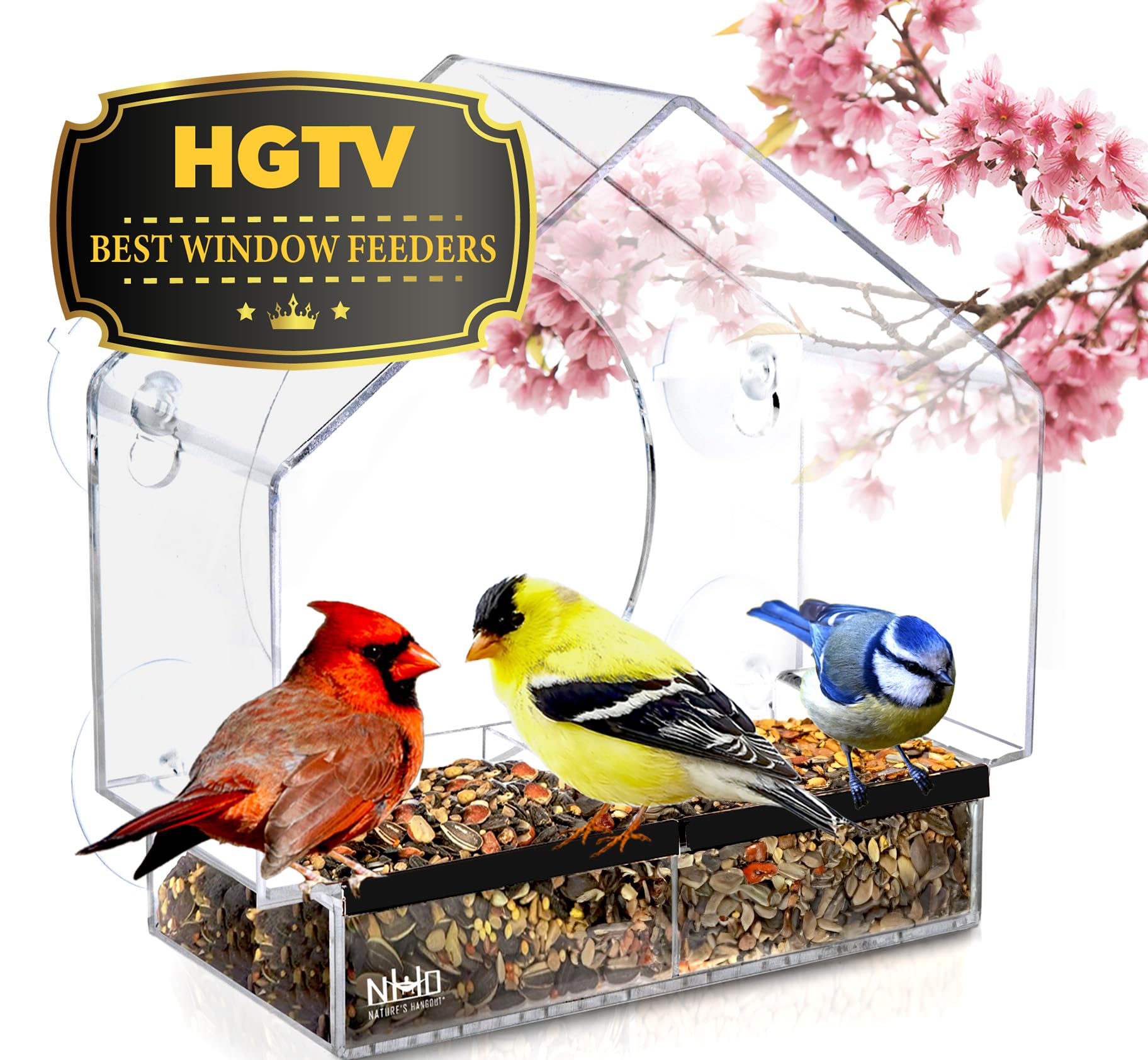 Window Bird Feeder Easy to Use to Attract Birds with Strong Suction Cups