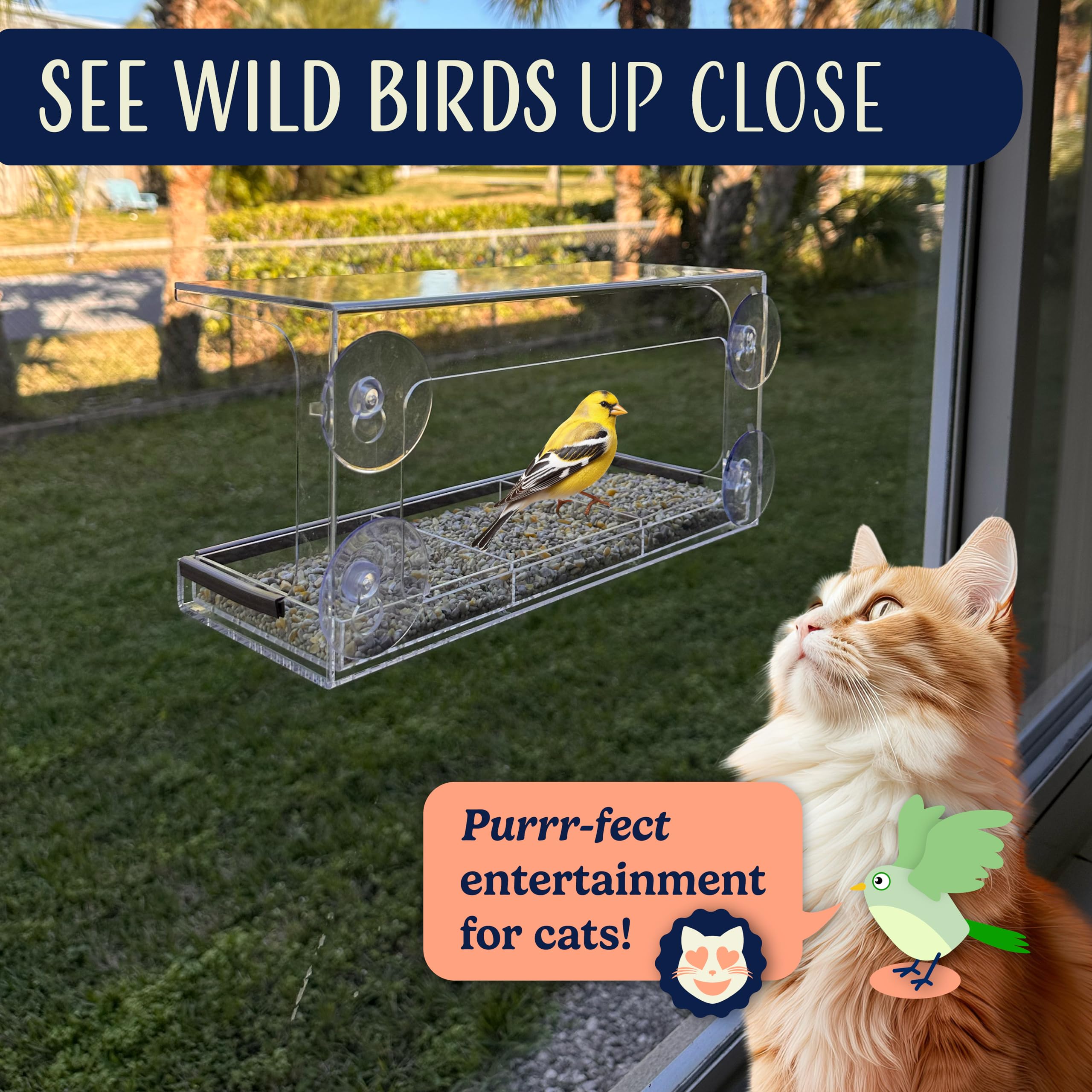 Window Bird Feeder Easy to Use to Attract Birds with Strong Suction Cups