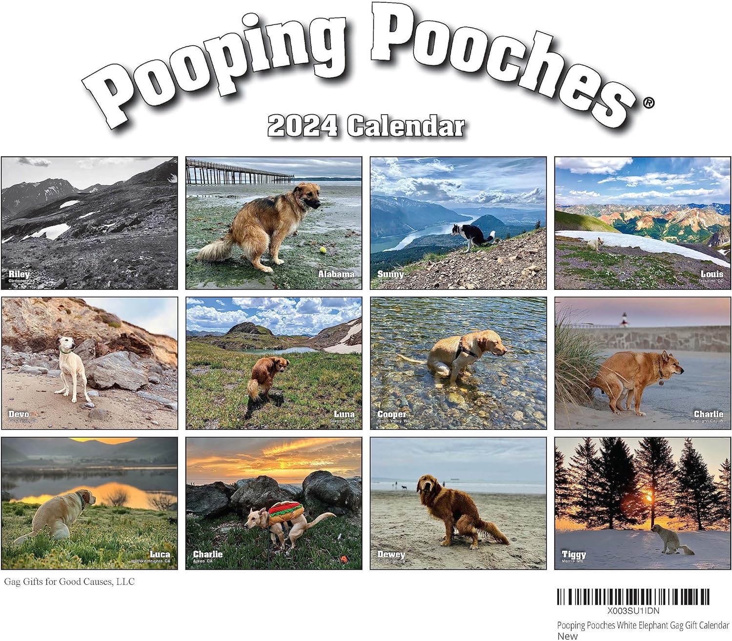 Pooping Pooches White Elephant Gag Gift Calendar